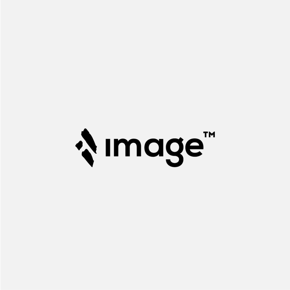 Logo 13 image