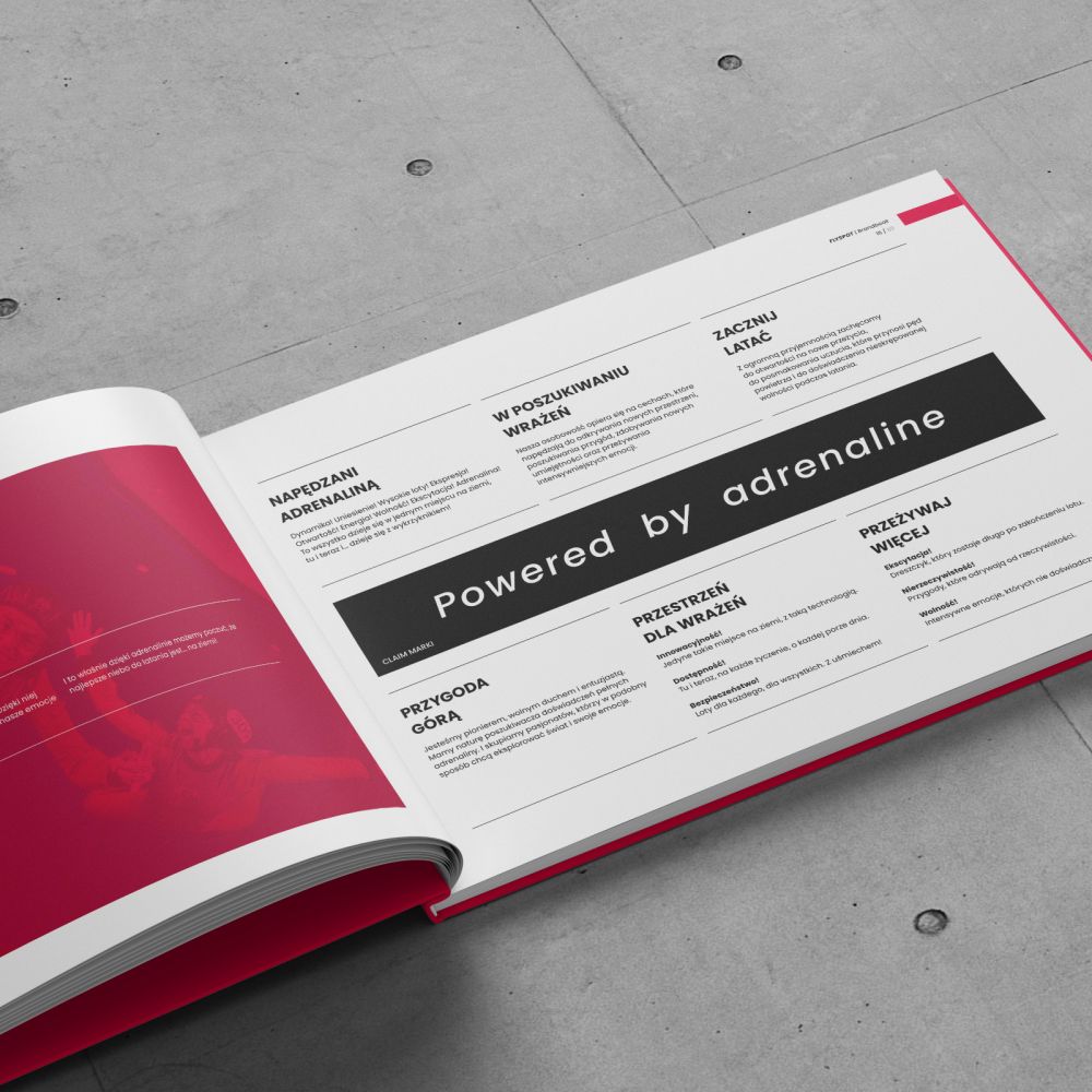 Flyspot brand book slogan marki