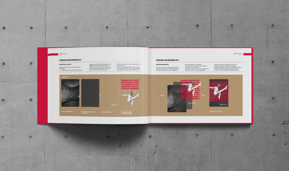 Flyspot brand book key visual budowa